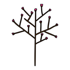 tree branch with seeds vector illustration design
