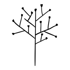 tree branch with seeds vector illustration design