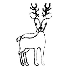 cute and tender reindeer vector illustration design