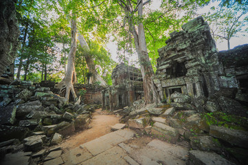 Tempel Ta Phrom- Vom Dschungel &uuml;berwuchertes Bauwerk der Khmer,
