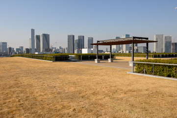 豊洲市場の屋上公園