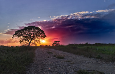 beautiful landscape and sunset in venezuela