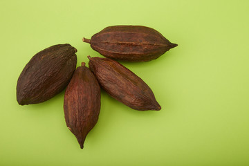 cocoa pod on green background