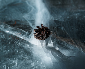 A small pine cone rests comfortably on a crack of ice on a frozen lake in the Sierra Nevada