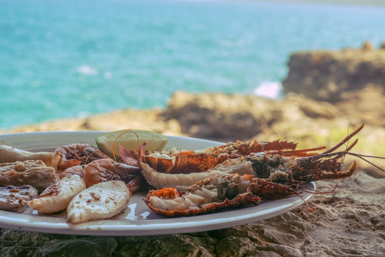Seafood dish on the background of the sea