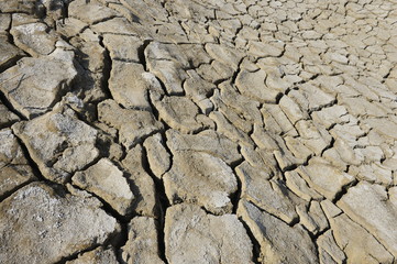 The parched soil