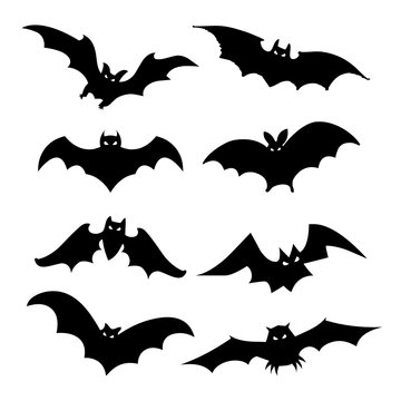 Bat Bird Animal Silhouette Black Icon Flat Design Element Vector Illustration