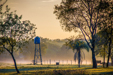 Obraz premium Campo al amanecer