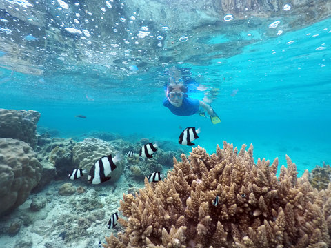 Woman snorkelling in Rarotonga Cook Islands