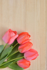 

tulip flowers on a wood background 

