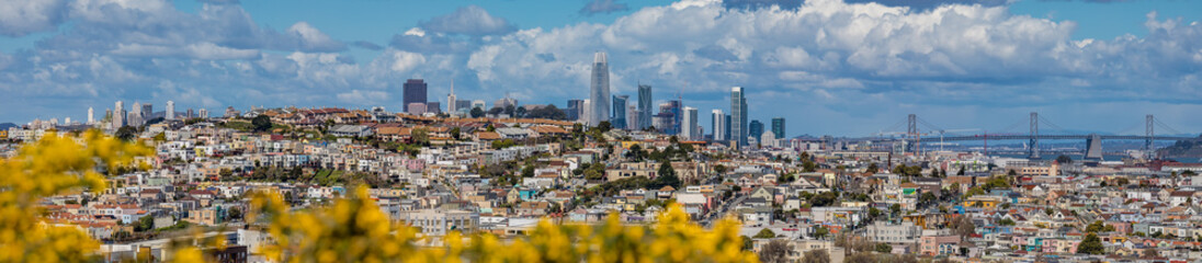 San Francisco skyline panorama with blooming flowers in the foreground