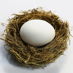 white chicken egg in a nest on a white background