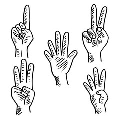 Hand and fingers count