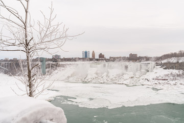 Ice and snow at Niagara Falls, focus on tree
