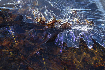 ice and melt water on a spring stream