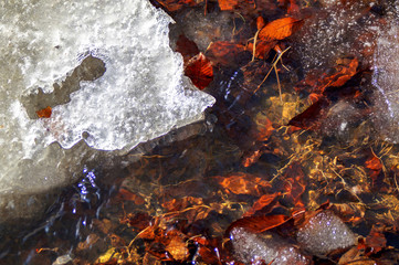 ice and melt water on a spring stream