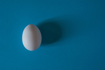 White egg on a blue background top view