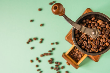 Coffee beans in a hand-held coffee grinder on a tender green background top view