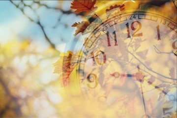 Fototapeta premium Autumn.