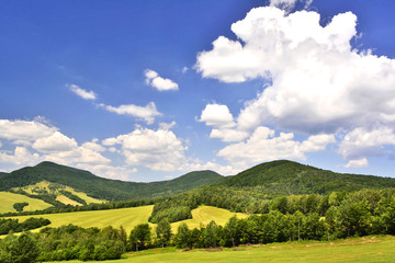 Fototapeta na wymiar Summer mountain landscape with green field against a blue sky with clouds