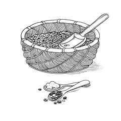 Vector sketch wicker basket with grain and shovel iIllustration black and white of ingraving style. Harvesting and processing of coffee beans.