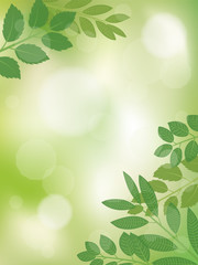 Naklejka premium 新緑 リーフのフレーム素材 