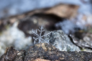 snowflake on snow, snow