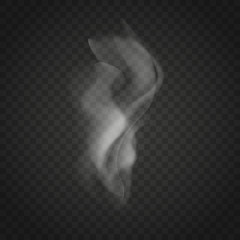 Transparent smoke isolated on dark background