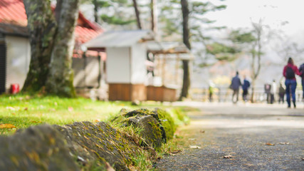 During the trip to Ryuze Falls at Nikko It is decorated as close to nature as most tourists think that walking in the forest