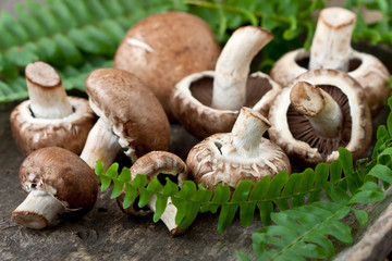 Champignon mushrooms , close-up selective focus,