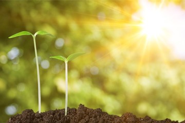 Grow.