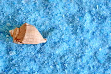Seashell lying on soluble crystals blue sea salt with foam for bath tube for aroma therapy and spa salon relax treatment. Texture. Background