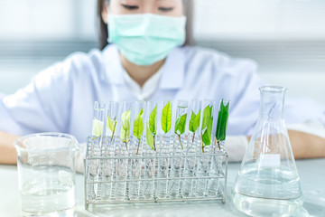 Biotechnology concept with scientist in lab