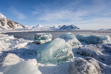 Wiosna na arktycznej plaży © blackspeed