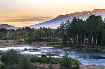 Mountain river and forest trees on the sunset, Altai Mountains, Kazakhstan