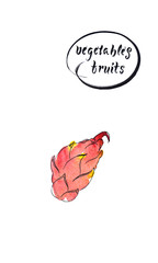Fresh raw dragon fruit, watercolor hand drawn illustration