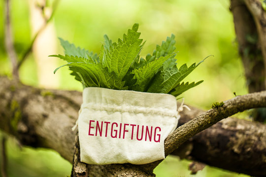 Entgiftung