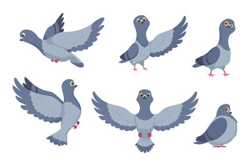 Vector collection of cartoon pigeons