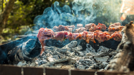 Marinated shashlik kebab preparing on a barbecue grill over charcoal.
