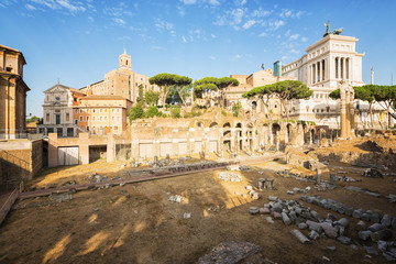 Ancient ruins of a Roman Forum or Foro Romano, Rome, Italy. 