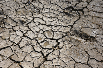 Climate warming dry chapped land