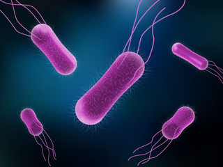 Vector illustration of Salmonella Bacteria for medicine concept