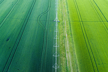 Green crop fields with irrigation system