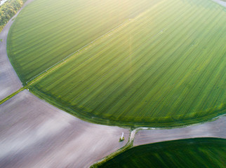 Irrigation system in wheat field