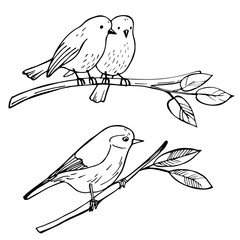 Birds sitting on a branch. Vector sketch illustration.