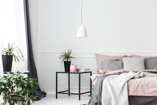 Plant in cozy bedroom interior