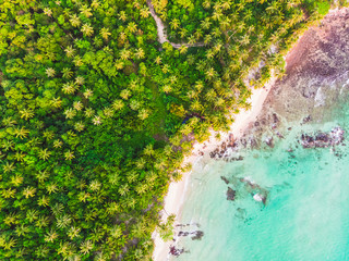 Aerial view of beautiful beach and sea with coconut palm tree