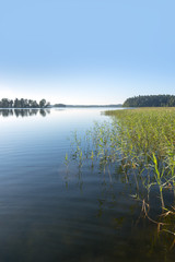Morning at Aluksne lake, Latvia.