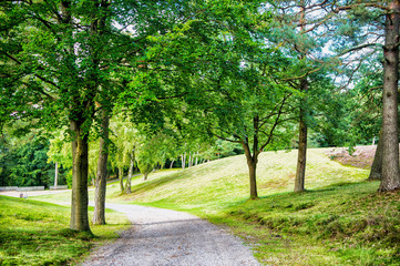 Nature, environment and ecology concept. Footpath among green trees, ecology. Path in spring or summer forest, nature. Road in wood landscape, environment.