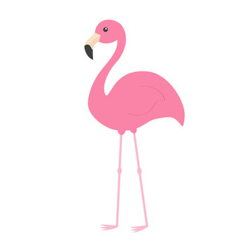 Pink flamingo with wing. Exotic tropical bird. Zoo animal collection. Cute cartoon character. Decoration element. Flat design. White background. Isolated.